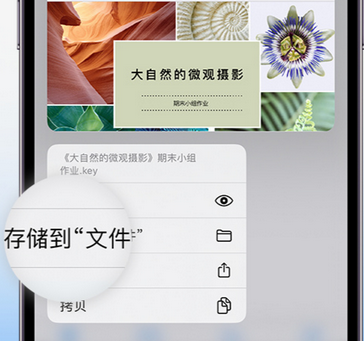 历城apple维修中心分享iPhone文件应用中存储和找到下载文件