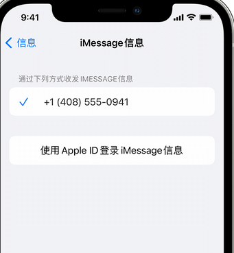 历城apple维修iPhone上无法正常发送iMessage信息 