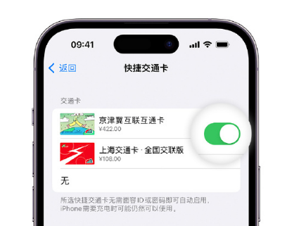 历城apple维修点分享iPhone上更换Apple Pay快捷交通卡手绘卡面 