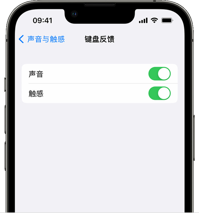 历城苹果14维修店分享如何在 iPhone 14 机型中使用触感键盘 