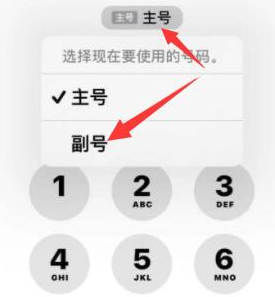 历城苹果14维修店分享iPhone 14 Pro Max使用副卡打电话的方法 