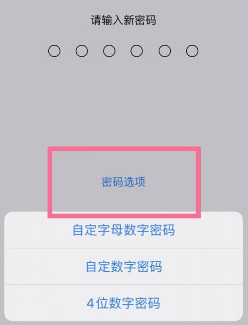 历城苹果14维修分享iPhone 14plus设置密码的方法 