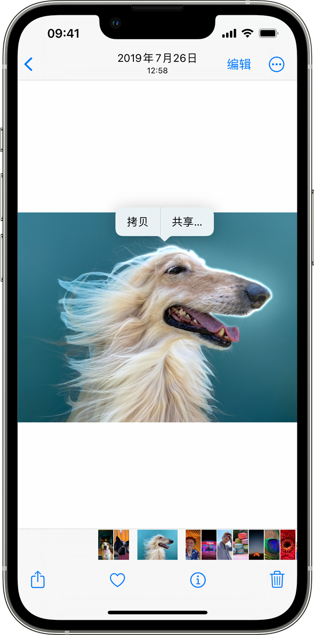 历城苹果服务网点分享iOS 16 “一键抠图”功能支持哪些机型？ 