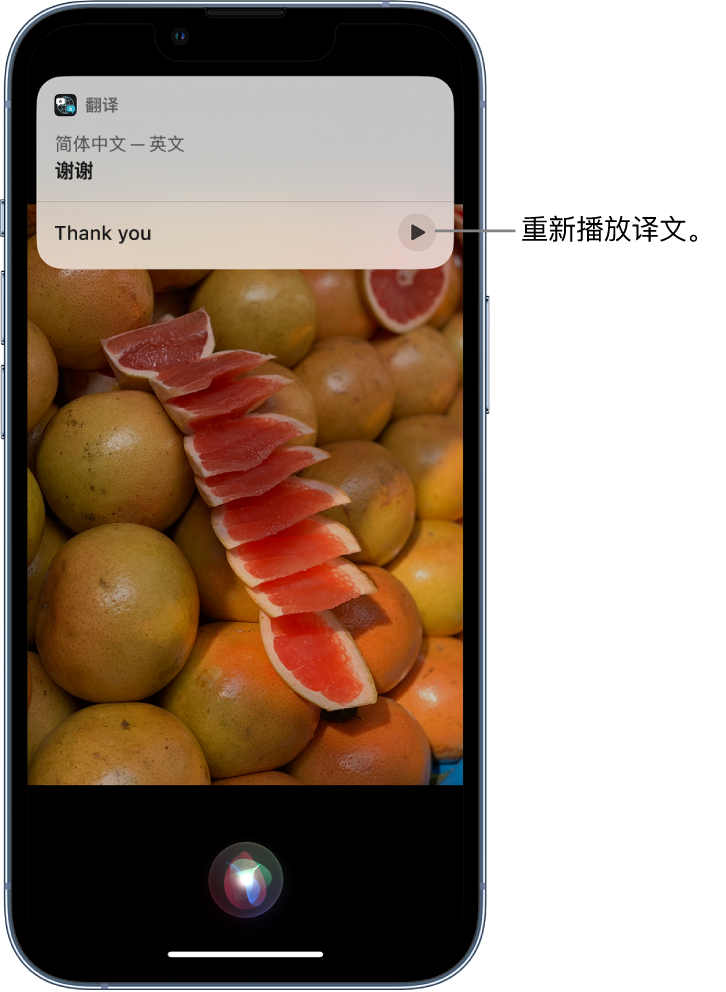 历城苹果14维修分享 iPhone 14 机型中使用 Siri：了解 Siri 能帮你做什么 