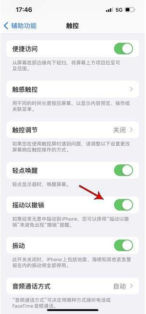 历城苹果手机维修分享iPhone手机如何设置摇一摇删除文字 