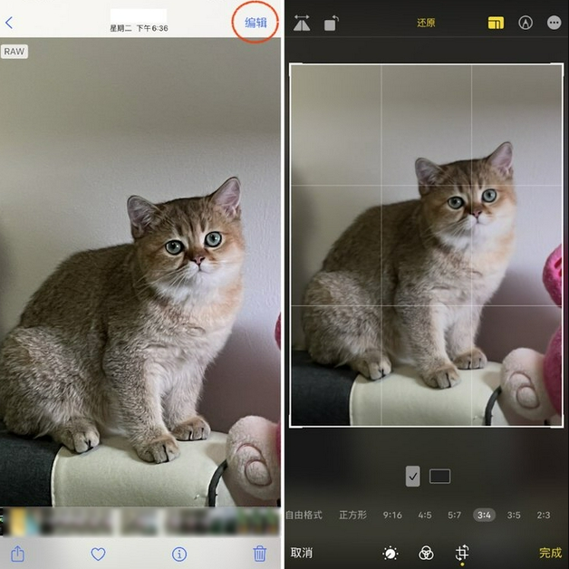 历城苹果手机维修分享苹果 iPhone 12 Pro 拍照会过度锐化 