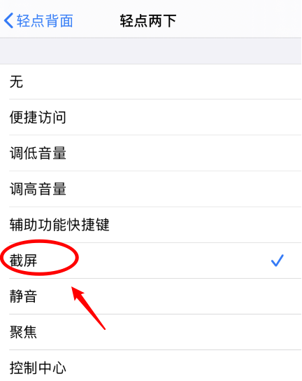 历城苹果手机维修分享iPhone12如何启用双击截屏 