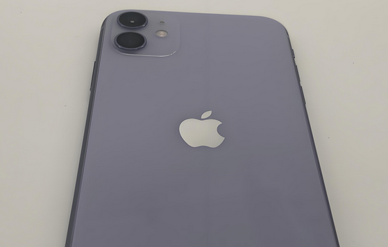 历城苹果11系统维修分享iPhone11手机系统崩溃无法开机如何解决 